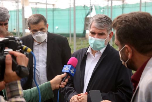 خریداری ۱۰ هزار تن گندم از کشاورزان خوزستانی از آغاز فصل برداشت