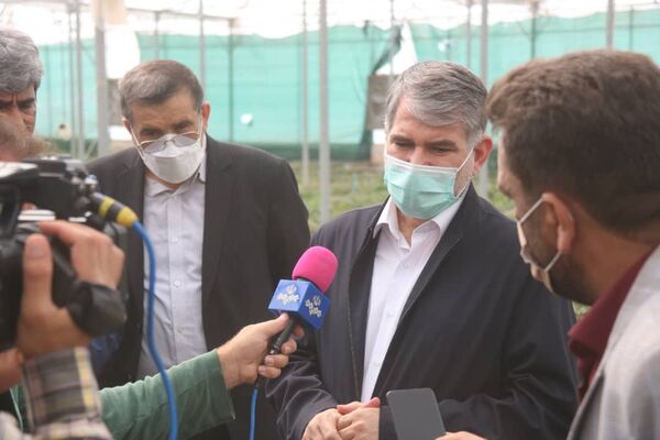 خریداری ۱۰ هزار تن گندم از کشاورزان خوزستانی از آغاز فصل برداشت