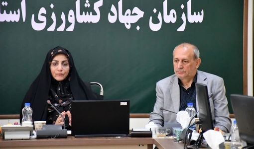 بیمه، سوخت و هزینه‌های تولید؛ سه دغدغه اصلی کشاورزان