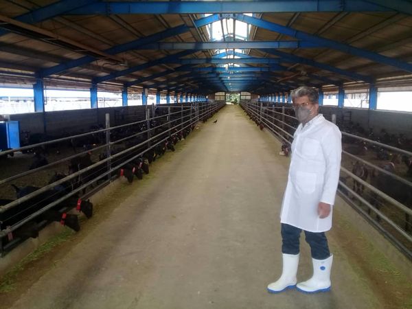 بازدید معاون بهبود تولیدات دامی سازمان جهاد کشاورزی استان قزوین از یک واحد پرورش بز مورسیا 