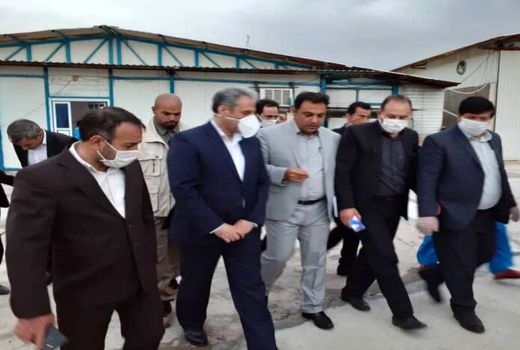 دهلران رتبه سوم کشور در تولید کلزا را دارد