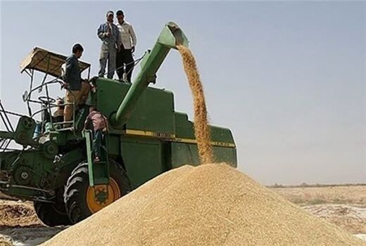 پایان رقص خوشه های طلایی در شهرستان رستم