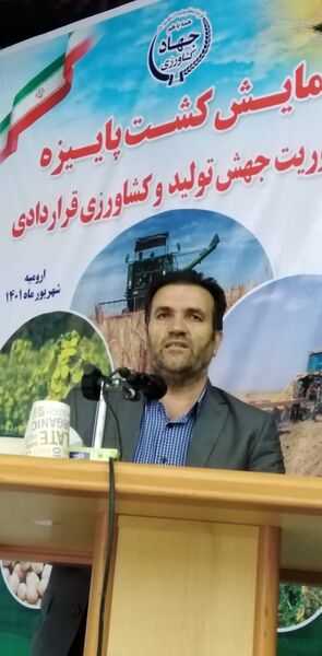 خودکفایی در تولید گندم با همت کشاورزان محقق می شود 