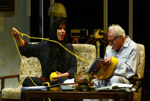 دو اجرایی شدن «فلیک»، آغاز اجرای «آمیز قلمدون»