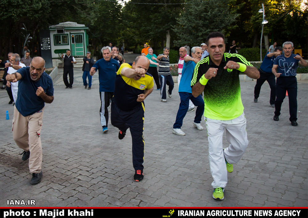 نرمش صبحگاهی