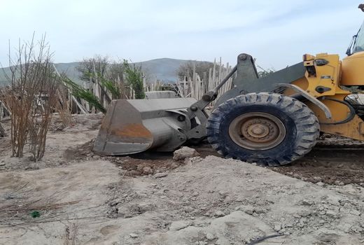 قلع و قمع نهال‌فروشی‌های غیرمجاز و فاقد شناسه در مراغه 