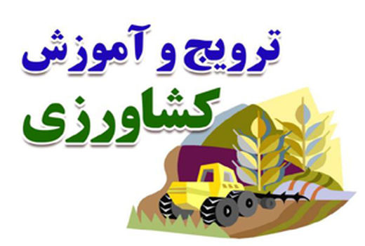 بروزرسانی دانش کارشناسان پهنه‌ها از اولویتهای وزارت جهادکشاورزی است