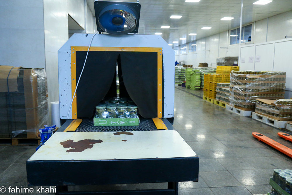 از لمس شاخه تا عصاره ی نور  