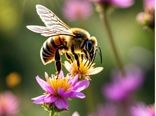 زنبور عسل؛ نگهبان کوچک طبیعت است
