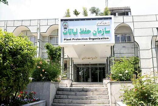 انحلال سازمان حفظ نباتات خلاف قانون است و صادرات را متوقف می‌کند