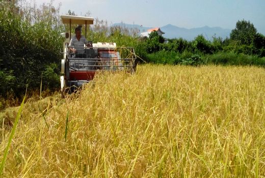 لنگرود هفتمین شهرستان در جذب اعتبارات ماشین آلات کشاورزی گیلان