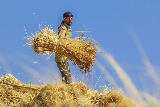 جوان روستایی هم سرمایه هم نیروی کار