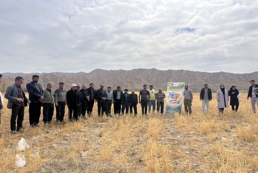 جریان‌سازی اجتماعی برای سازگاری کشاورزی با تغییر اقلیم در قالب کاروان‌های ترویج بهره‌وری