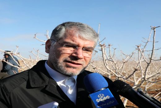 ضرورت توجه به اراضی شیب‌دار و توسعه باغات در لرستان