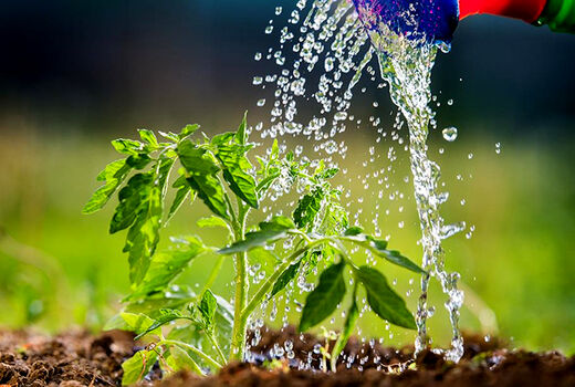 آشنایی با مزایای استفاده از روش‌های نوین آبیاری در بهبهان