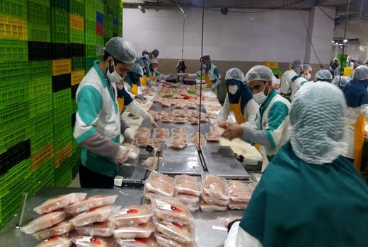 صنعتی شدن کشاورزی، تولید محصولات کشاورزی با کیفیت بالاتری را درپی دارد