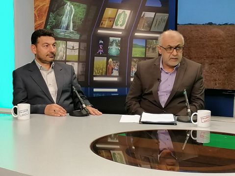 خرید محصول استراتژیک گندم در گلستان از مرز ۴۰۰ هزار تن گذشت