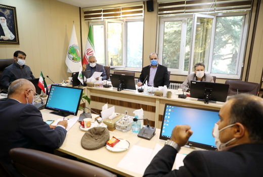 حمایت سازمان جنگل‌ها از اقدامات موثر برای حفظ منابع طبیعی کشور