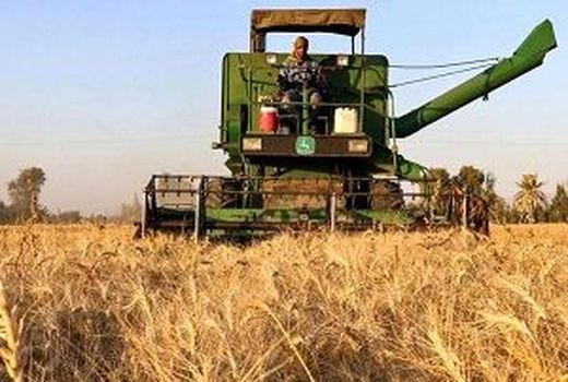 به‌کارگیری بیش از 240 دستگاه کمباین و دروگر در عملیات برداشت گندم و جو