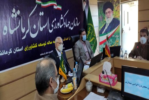 برگزاری جلسه اتحادیه صادر کنندگان دام زنده با نمایندگان مردم کرمانشاه در مجلس شورای اسلامی