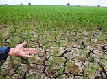 امهال اصل تسهیلات خسارت دیدگان از خشکسالی 
