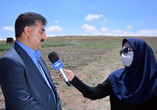 کشت گلخانه‌ای راهی برای افزایش میزان تولید بدون تغییر سطح زیر کشت