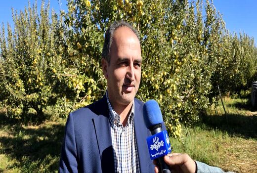 الزام اخذ کد شناسه QR code برای عرضه محصولات کشاورزی در بازارهای داخلی و خارجی