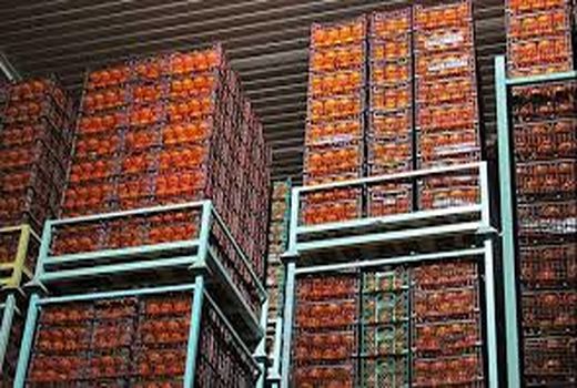 ذخیره سازی 14 هزار تنی مرکبات در میاندورود