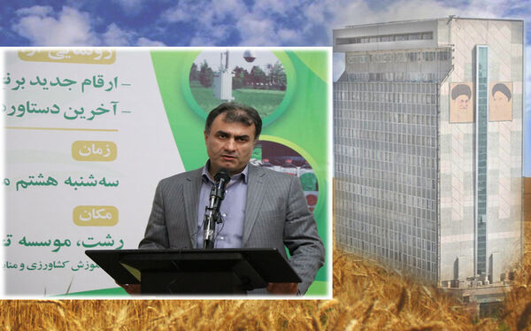 «درجانی» رئیس هیئت مدیره موسسه استقلال شد