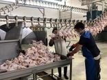 عرضه ٢٠١ هزار تن گوشت انواع طیور در کشتارگاه‌های رسمی کشور در دی ۱۴۰۰ 