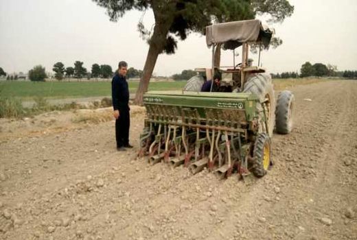 کشت کلزا در 11هکتار از اراضی بهارستان