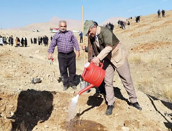 ۲.۵ میلیون اصله نهال در آذربایجان‌غربی غرس شد