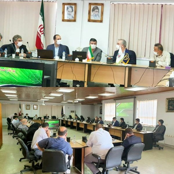 امسال چهار برابر سال‌های گذشته سطح مبارزه با زنگ گندم داشتیم