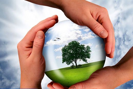 تضعیف سازمان منابع طبیعی موجب ورشکستگی زیست‌محیطی خواهد شد/احتمال کاهش توان زیست‌پذیری کشور

