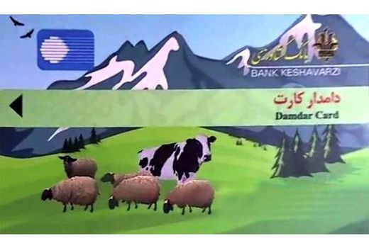 رتبه اول مازندران در صدور دامدارکارت/ 900 کارت صادر شد