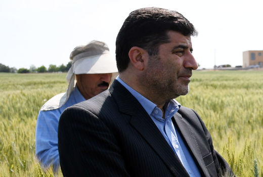 طرح جهش تولید ۲۳ برابرِ هزینه برای دیمکاران عایدی دارد