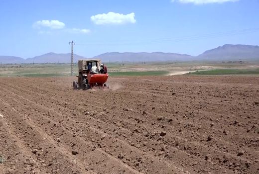 کاشت سیب زمینی در مزارع بوئین میاندشت