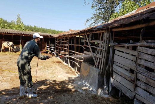 پیشگیری ازتب کریمه کنگو اولویت ماست