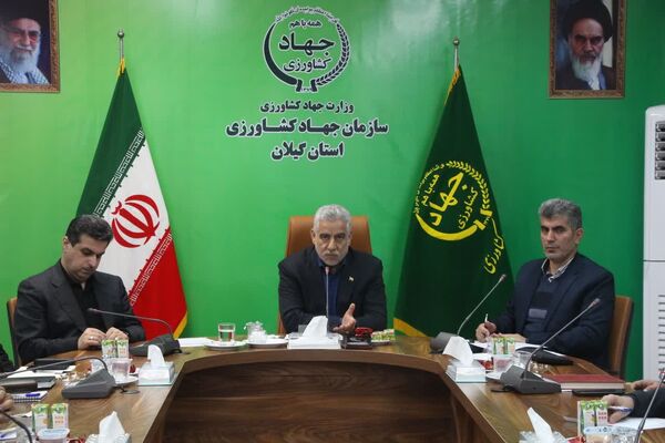 معافیت 50 درصدی تعرفه صادراتی باعث رونق بازار مرکبات می شود