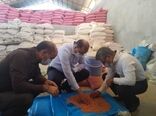 بازدید رئیس سازمان جهاد کشاورزی لرستان از وضعیت فرآوری و بوجاری بذور گندم و جو شهرستان کوهدشت 