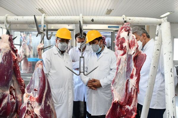 از کشتار دام های سنگین مولد جلوگیری بعمل می آید