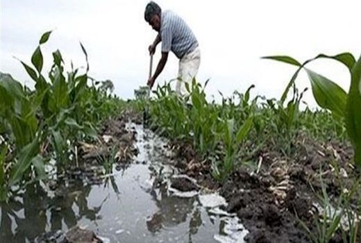 ممنوعیت استفاده ازآبهای نامتعارف برای آبیاری محصولات کشاورزی در ارومیه