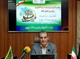 «خاک‌های سالم برای شهرهای سالم» دعوتی به اقدام برای حفاظت از خاک در شهرهاست