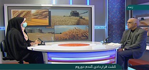 
کشت قراردادی گندم دوروم
