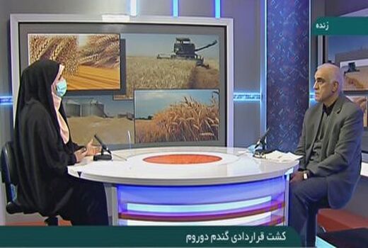 
کشت قراردادی گندم دوروم
