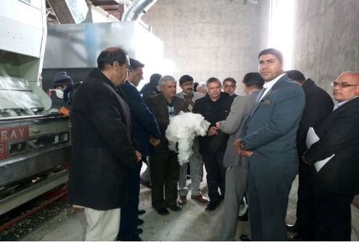 ۸۰ درصد پنبه خراسان شمالی در مانه و سملقان تولید می‌شود