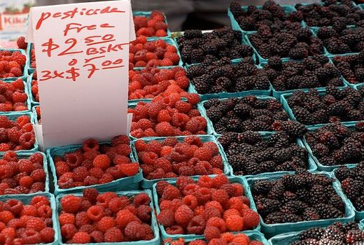 آیا محصولات ارگانیک واقعا عاری از ترکیبات شیمیایی هستند؟