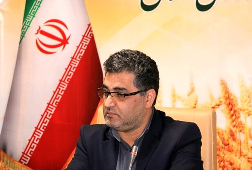 سال گذشته جوجه ریزی در مرغداری های استان رشد 10 درصدی داشته است
