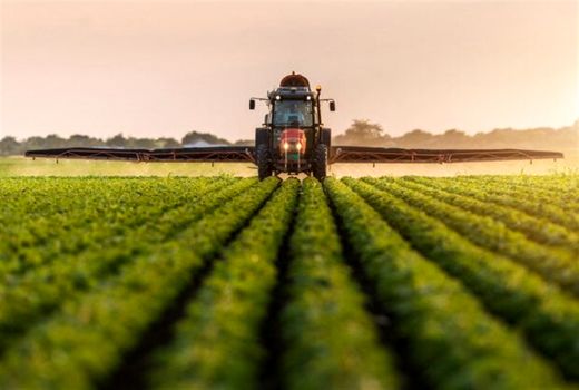 استان‌های پیشتاز در کشت قراردادی کدامند؟