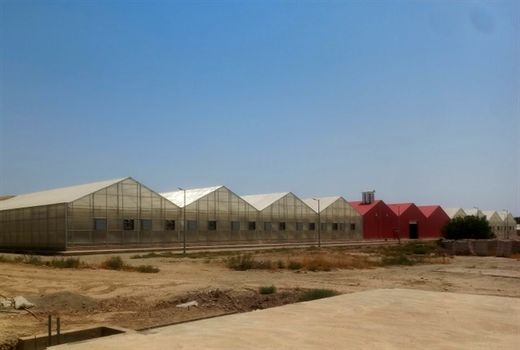 احداث گلخانه تهران گلشید در شهرستان پیشوا با حمایت بانک کشاورزی